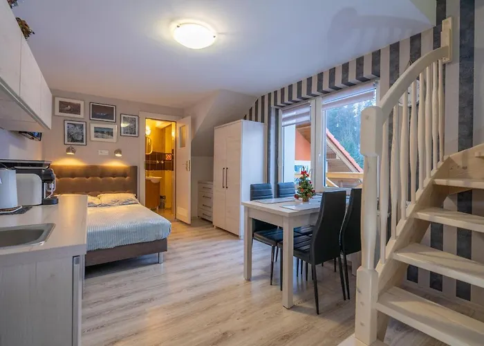 Проживание в семье Domino - I *