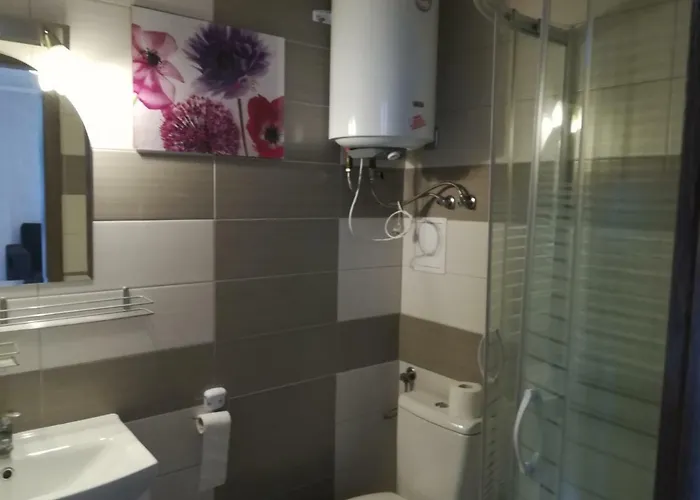 Проживание в семье Domino - I *